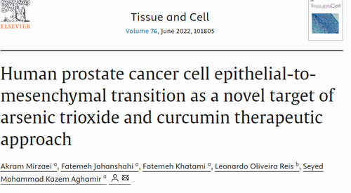 Human prostate cancer cell epithelial-to-mesenchymal transition as a novel target of arsenic trioxide and curcumin therapeutic approach